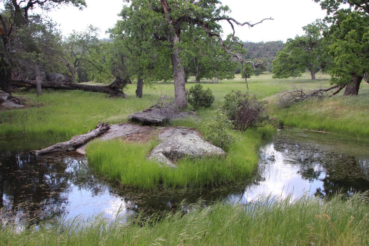 Casa - A Foothill Retreat Near Yosemite Mariposa